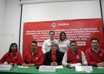 Xitlalic Ceja aspira a la Dirigencia Estatal del PRI con experiencia y trayectoria