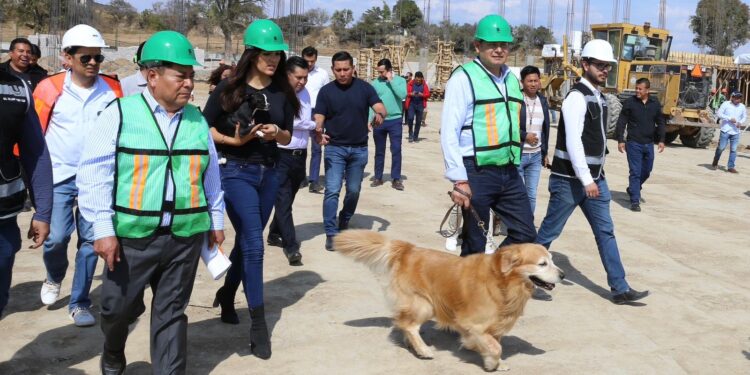 Seres sintientes requieren cuidado, no compras impulsivas: Gobierno de Puebla