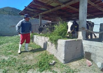 Altosano Granjas Carroll impulsa rotación de cultivos y producción forrajera