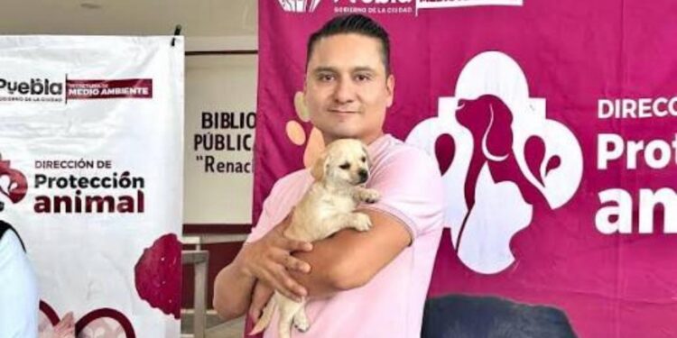 Avanza Gobierno de la Ciudad en materia de bienestar animal