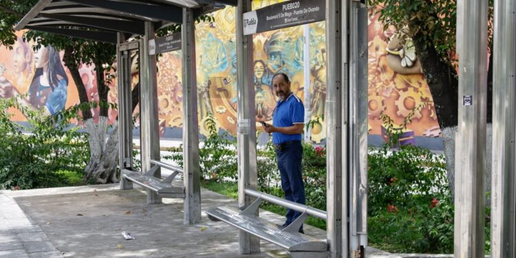 Alcalde Chedraui celebra luz verde en comisión para modernizar paraderos