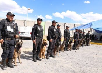 Unidad Cinotáctica K9 de Centros Penitenciarios obtiene certificación: SSP