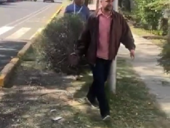 Habilitan centros de acopio para árboles de Navidad y entregarán árboles frutales