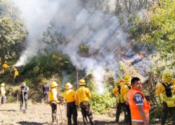 Controlan incendio forestal en Chilchotla; 10 hectáreas resultaron afectadas