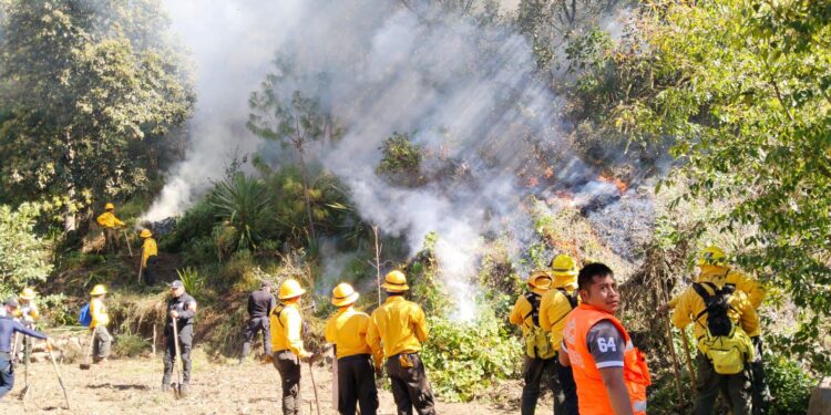 Controlan incendio forestal en Chilchotla; 10 hectáreas resultaron afectadas