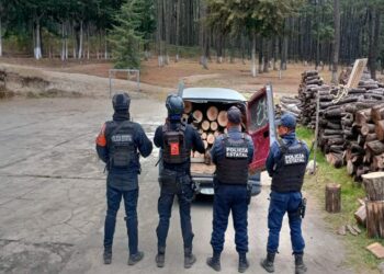 Con Operativo Interestatal Puebla–Tlaxcala, se aseguran más de 70 troncos de madera