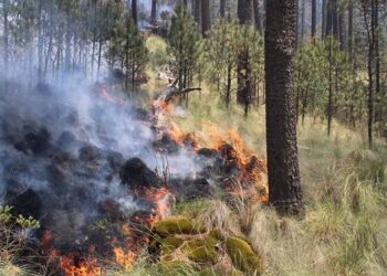 ¡Buenas noticias! Puebla reduce los incendios forestales en 2025