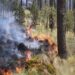 ¡Buenas noticias! Puebla reduce los incendios forestales en 2025