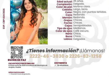 Fiscalía de Puebla intensifica búsqueda de Lidya Valdivia