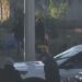 Localizan a dos hombres sin vida en San Sebastián de Aparicio