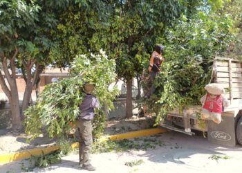 Con participación ciudadana, Tonantzin Fernández impulsa faena en Momoxpan