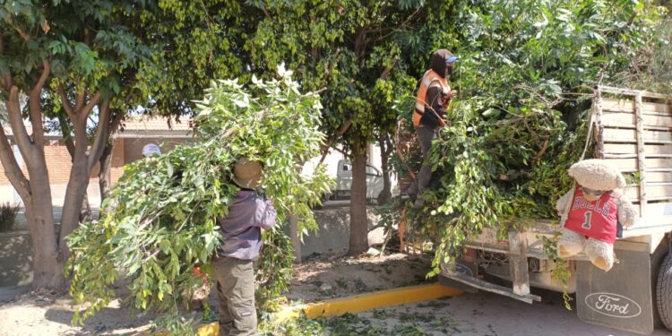 Con participación ciudadana, Tonantzin Fernández impulsa faena en Momoxpan