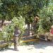 Con participación ciudadana, Tonantzin Fernández impulsa faena en Momoxpan