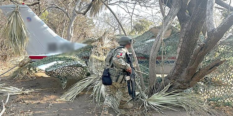 Aseguran aeronave clandestina en Oaxaca cargada de cocaína