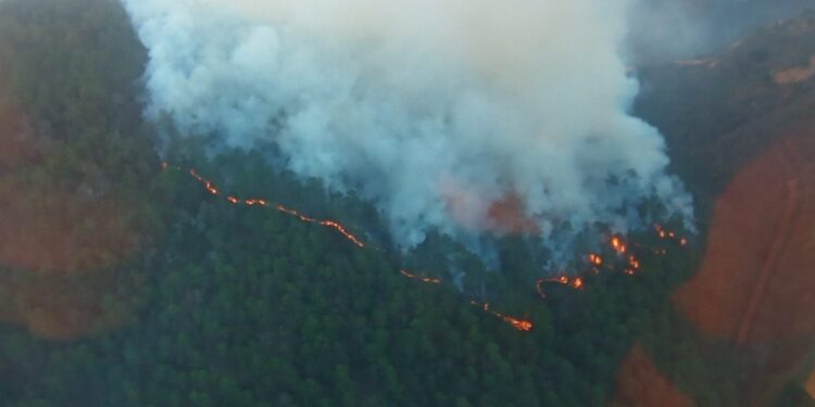 Realizan vuelos en helicóptero para combatir incendio forestal en Vicente Guerrero