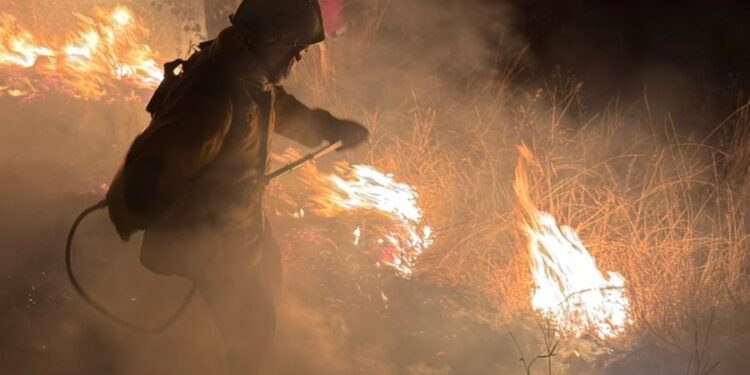 Gobierno de Puebla ha liquidado 88 incendios forestales