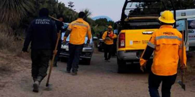 Controlan incendios en Oriental y Amozoc; también desmantelan hornos clandestinos en La Malinche