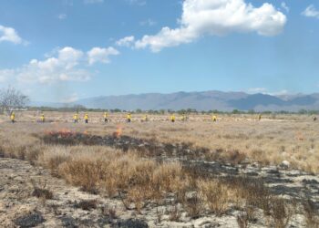 Brigadistas de Protección Civil amplían habilidades contra incendios forestales