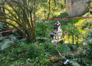 Localizan restos óseos durante acciones de búsqueda en Huauchinango