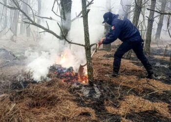 Bomberos sofocan tres incendios en Puebla; uno consumía dos hectáreas de pastizal