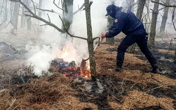 Bomberos sofocan tres incendios en Puebla; uno consumía dos hectáreas de pastizal