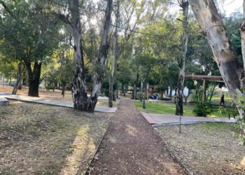 Preservar los parques ‘Juárez’ y Ecológico: un llamado ante el proyecto de cablebús en Puebla