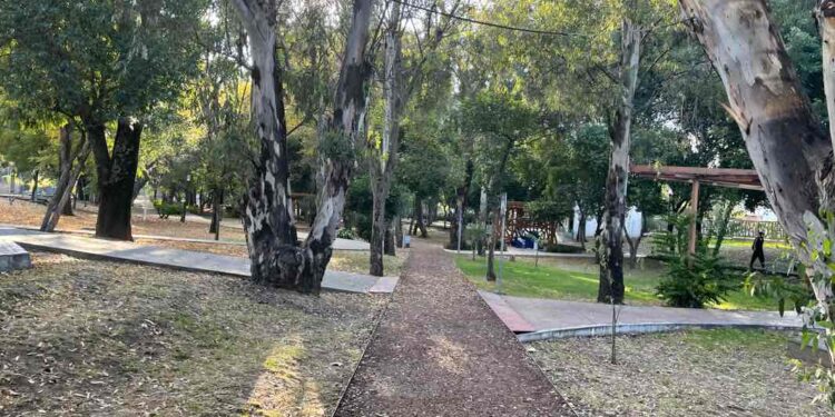 Preservar los parques ‘Juárez’ y Ecológico: un llamado ante el proyecto de cablebús en Puebla