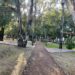 Preservar los parques ‘Juárez’ y Ecológico: un llamado ante el proyecto de cablebús en Puebla