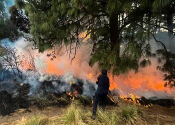 SSP Estatal coordina extinción de cuatro incendios en Tepatlaxco, Puebla y Tlachichuca