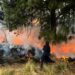 SSP Estatal coordina extinción de cuatro incendios en Tepatlaxco, Puebla y Tlachichuca