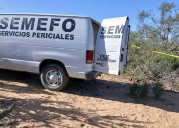 Llamada anónima revela fosa clandestina en BCS; hallan cuerpos y restos humanos