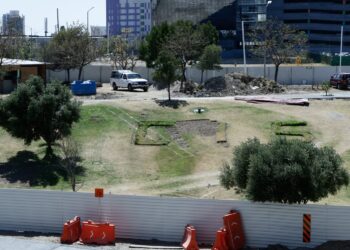 Diputada asegura que el proyecto del Cablebús en Puebla protege el arbolado