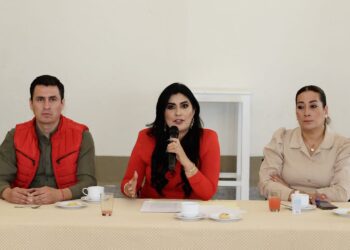 Proponen en el Congreso iniciativa “Adopta un Árbol” ante preocupación por impacto del Cablebús