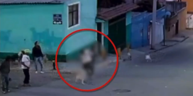 Defendía a perros y terminó herida: agresión causa enojo en redes