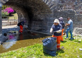 Gobierno de Pepe Chedraui mejora imagen del Puente de Ovando con jornada de limpieza integral