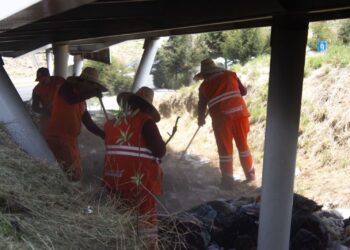 Acciones de limpieza del Gobierno de Pepe Chedraui llegan a Bulevar Municipio Libre