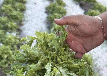 Lluvias y granizadas activan operativo en Puebla; Gobierno descarta afectaciones graves
