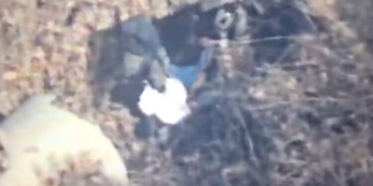 Así fue la detención del ‘Jardinero’, líder del CJNG; fue seguido por 19 meses