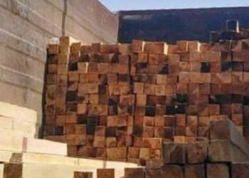 Detiene Policía Forestal a hombre que trasladaba ilegalmente 370 piezas de madera