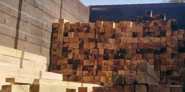 Detiene Policía Forestal a hombre que trasladaba ilegalmente 370 piezas de madera