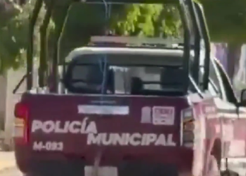 Armenta exige investigar caso de maltrato animal en Xochiltepec