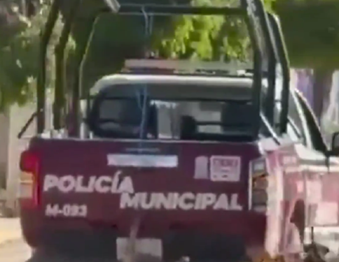 Armenta exige investigar caso de maltrato animal en Xochiltepec