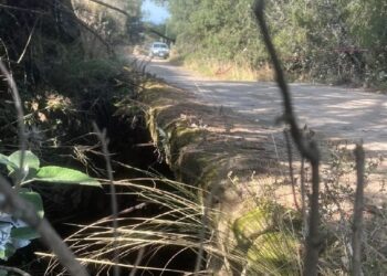 Confirman coincidencia preliminar en caso de mujer localizada en Tlaxcala; falta identificación oficial de familia