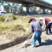 Refuerza Gobierno de Pepe Chedraui mantenimiento en bajo puentes de la capital