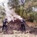 Policía Forestal destruye 11 hornos clandestinos para deshidratar madera