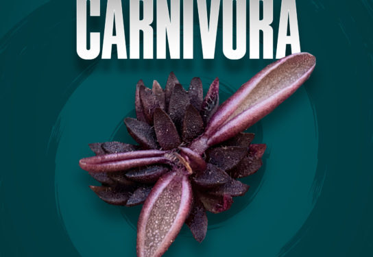Investigadores BUAP descubren nueva especie de planta carnívora