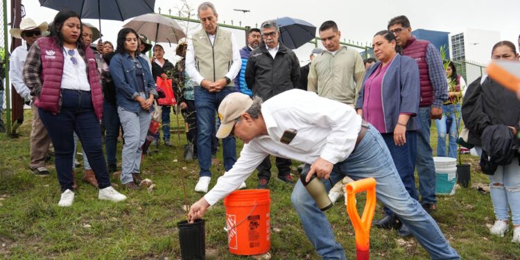 Encabeza Pepe Chedraui jornada de reforestación en Ecocampus BUAP
