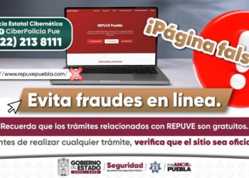Seguridad Pública alerta sobre sitio web falso del REPUVE