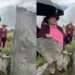 Delegada de Desarrollo Rural en Tepeaca genera polémica y la apodan #LadySombrilla