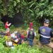 Continúan labores de rescate en gruta de Cuetzalan; recuperan el cuerpo de una de las víctimas